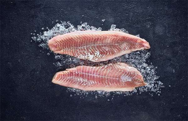 Aus der mittleren Nordsee Seelachsfilet