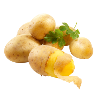 Deutschland - meinLand Bio - Bio-Speisekartoffeln