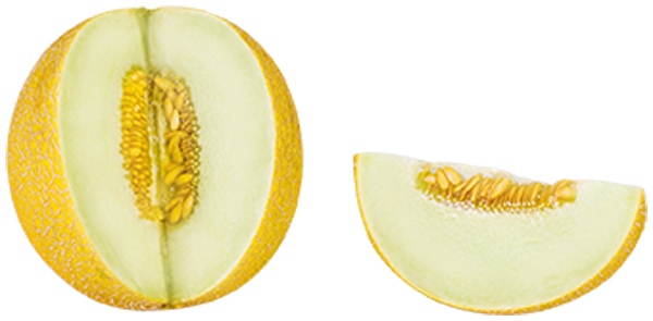 Brasilien Galiamelonen