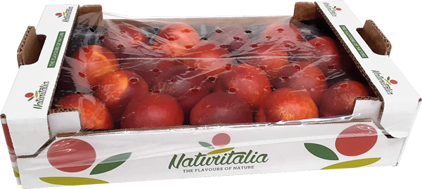 Italien Nektarinen, gelbfleischig