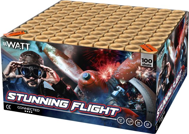 SILVESTERZAUBER Stunning Flight