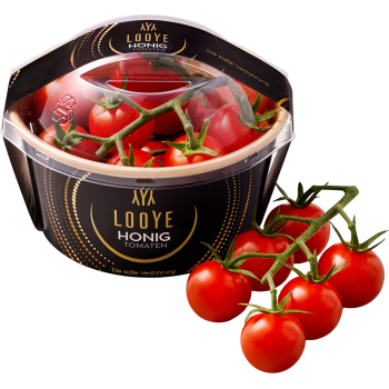Niederlande - Honigtomaten