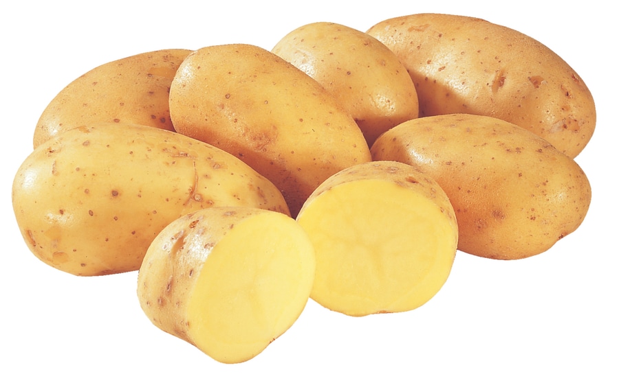 Gut&Günstig Speisefrühkartoffeln