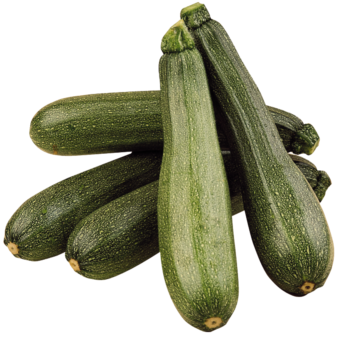 Zucchini aus Spanien