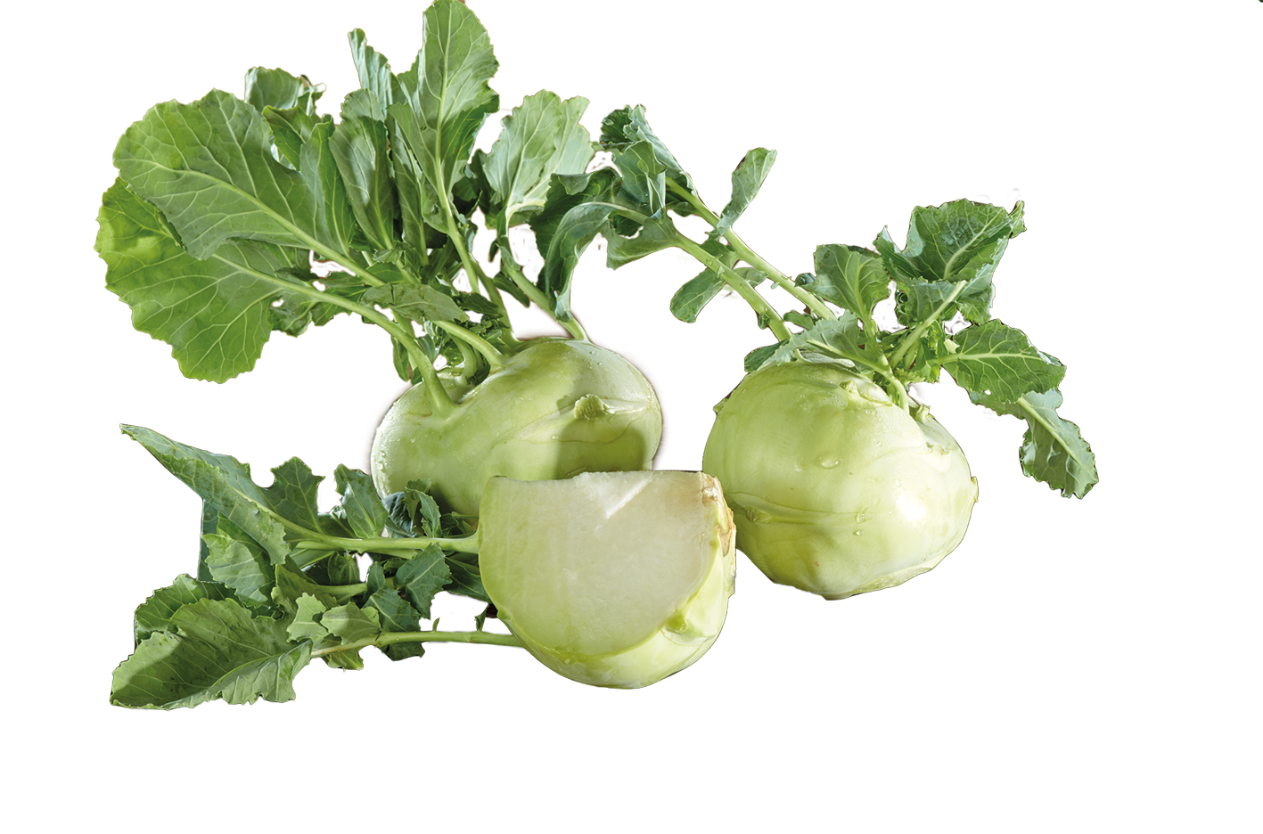 Deutschland Kohlrabi