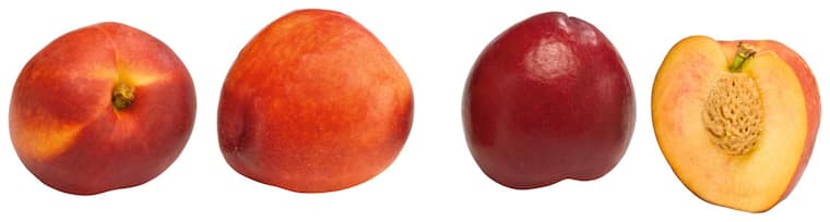 Nektarinen gelb- oder weißfleischig