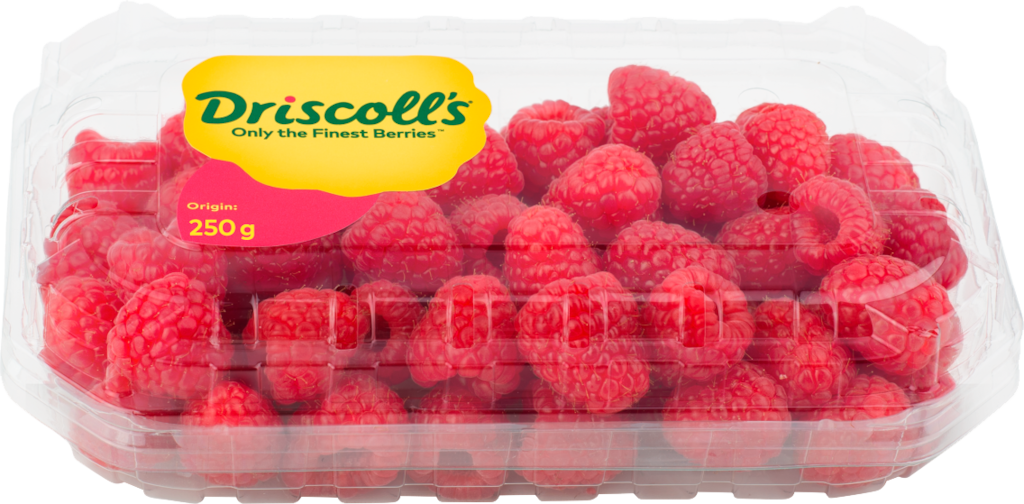 Driscoll´s Himbeeren