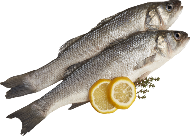 Ab Donnerstag erhältlich: ¹Wolfsbarsch (Loup de Mer)