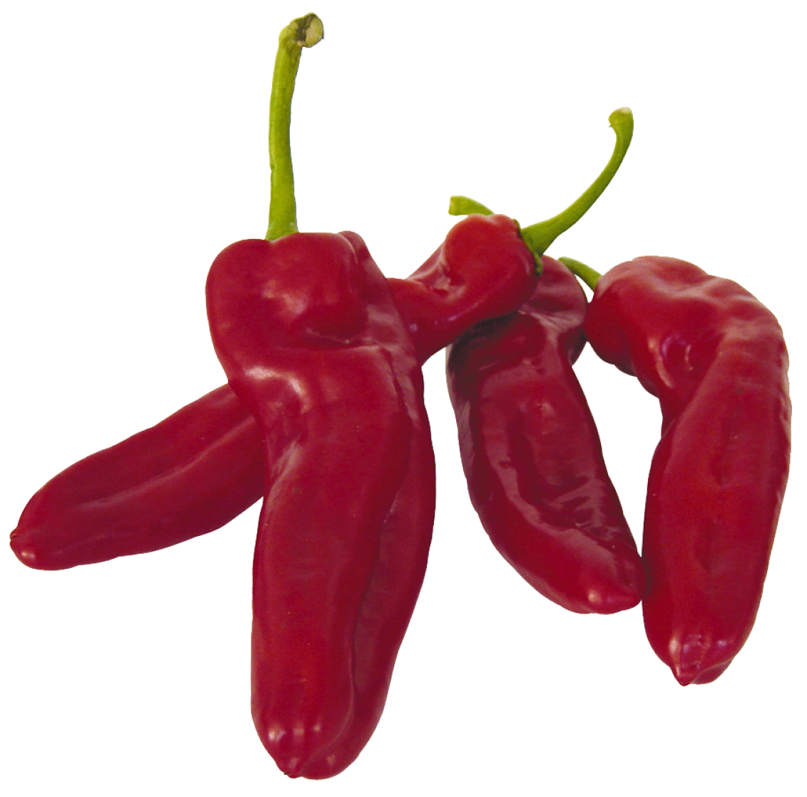 Spitzpaprika