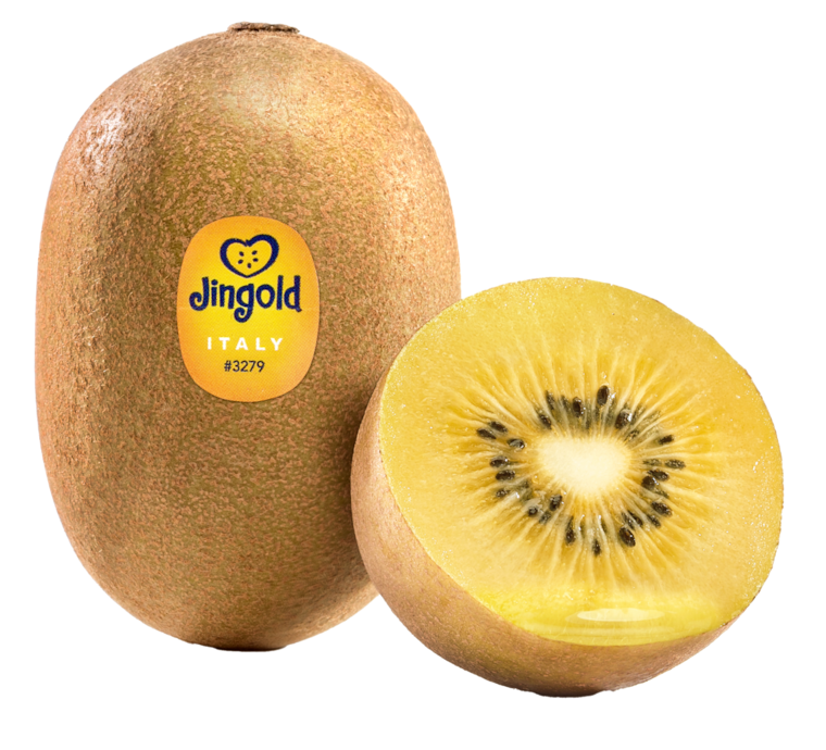 Jingold Kiwi Gold