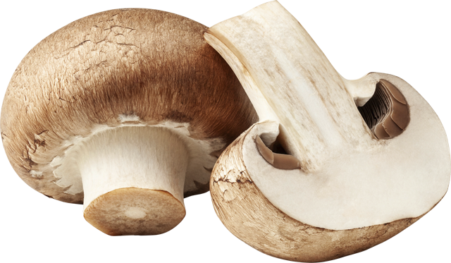 Unsere Heimat – echt & gut Champignons braun oder weiß