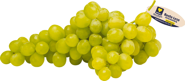 Am Samstag erhältlich: EDEKA Herzstücke Trauben hell oder rot