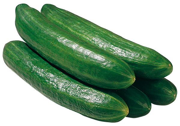 Niederlande / Deutschland Salatgurken