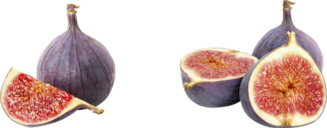 Feigen frisch