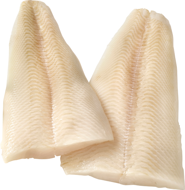 ¹,² MSC Schwarze Heilbuttfilets