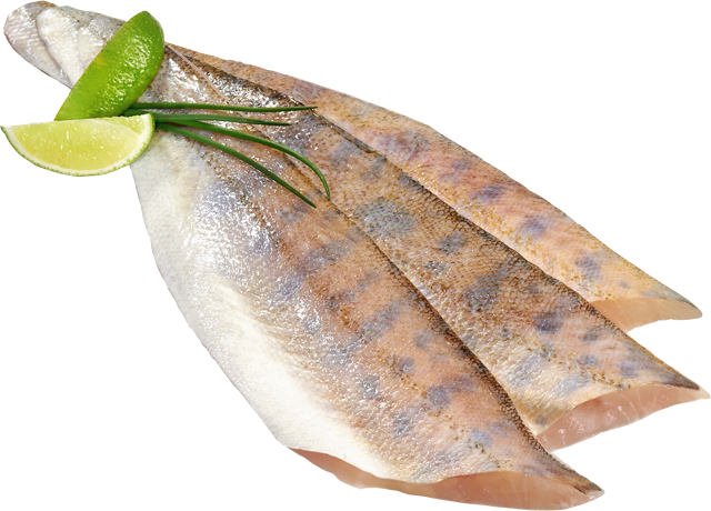 Frische Zanderfilets 