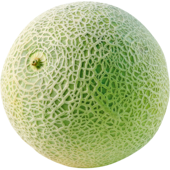 Cantaloupe-, Galia- oder Honigmelone