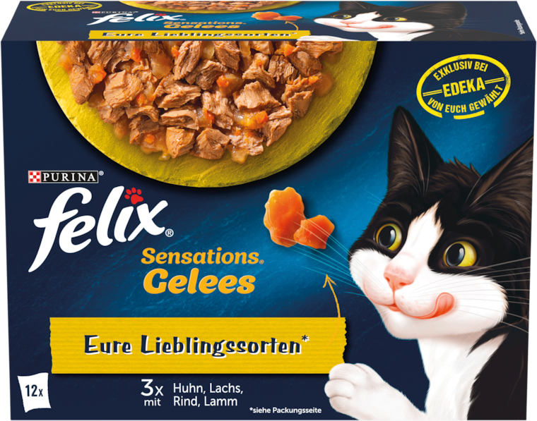 Nestlé PURINA Felix