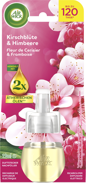 Airwick Starter-Set Sommervergnügen, Duftstecker