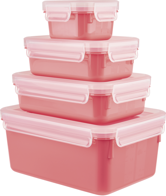 emsa Frischhaltedosen „Clip & Close Color Edition“