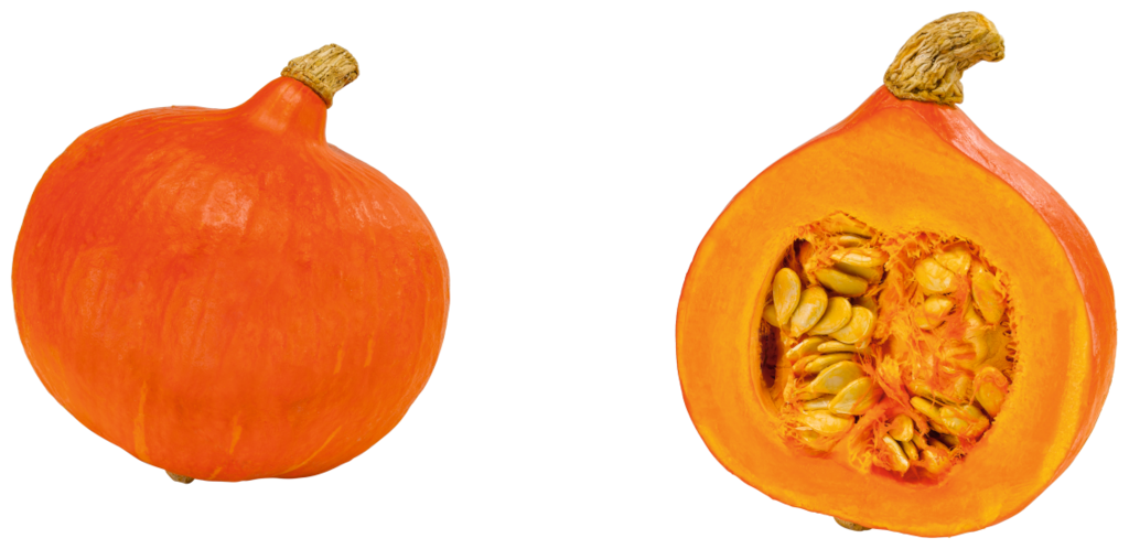 Speisekürbisse Hokkaido oder Butternut