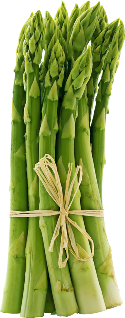 Bio Spargel grün