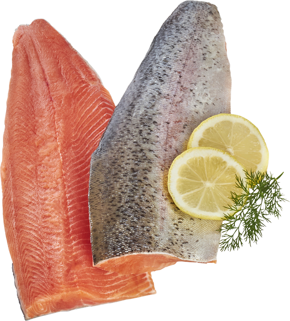 ²Rotfleischige Forellenfilets 