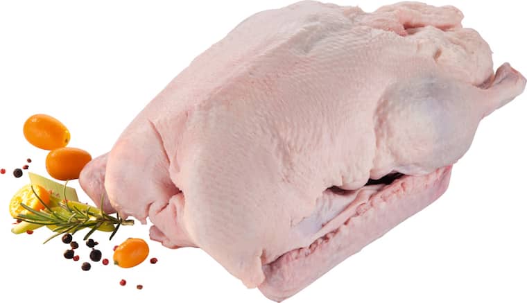 Ungarische Hafermastgans