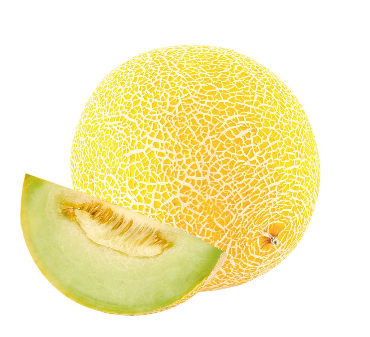 Galiamelone