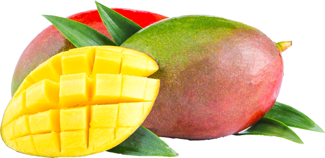 Mangos „Osteen“ 
