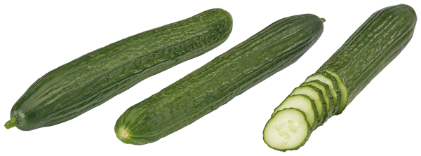 Spanien/Niederland GUT&GÜNSTIG Salatgurken