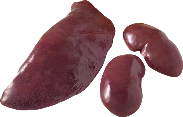 Frische Schweine-Nieren oder -Leber