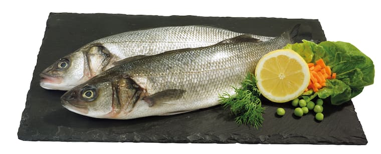 Frischer Wolfsbarsch