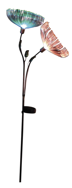 Dandelion „GL1010EZ“