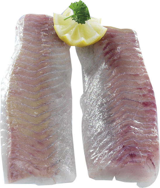 Frische Seelachsrücken 