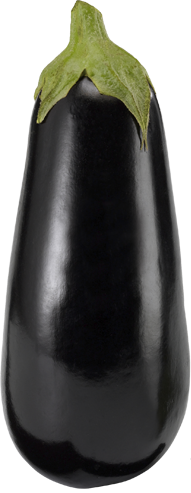 Bio Auberginen 