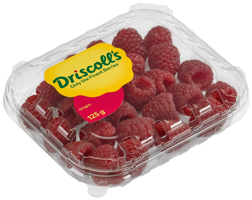 Driscoll´s Himbeeren oder Kulturheidelbeeren