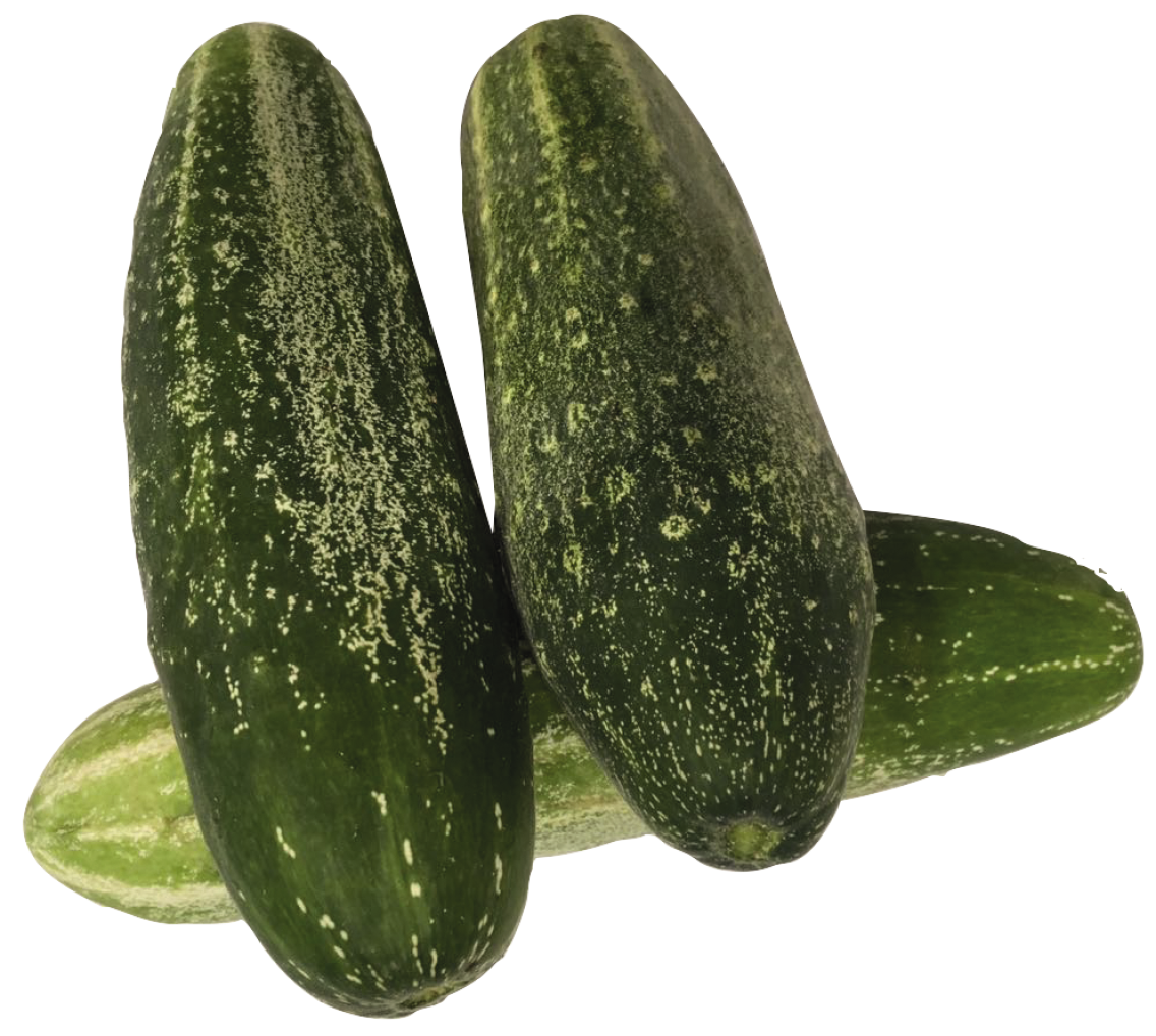 Schmorgurken