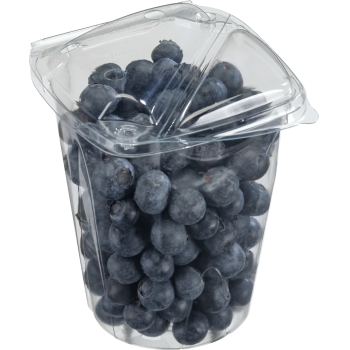 Heidelbeeren oder Himbeeren