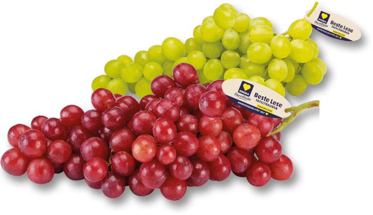 Südafrika EDEKA Herzstücke Tafeltrauben