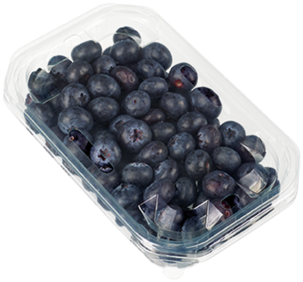 Kulturheidelbeeren oder EDEKA Heimatliebe Himbeeren