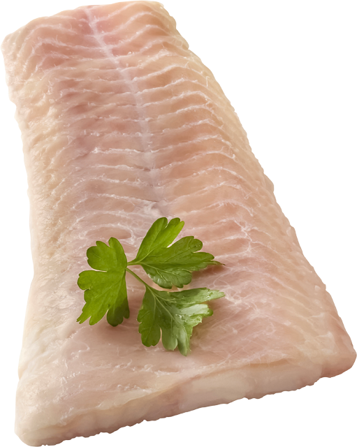 Ab Donnerstag erhältlich: Steinbeißerfilets 