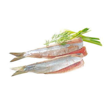 Matjes Doppelfilets