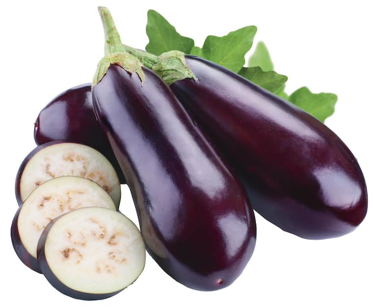 Aubergine