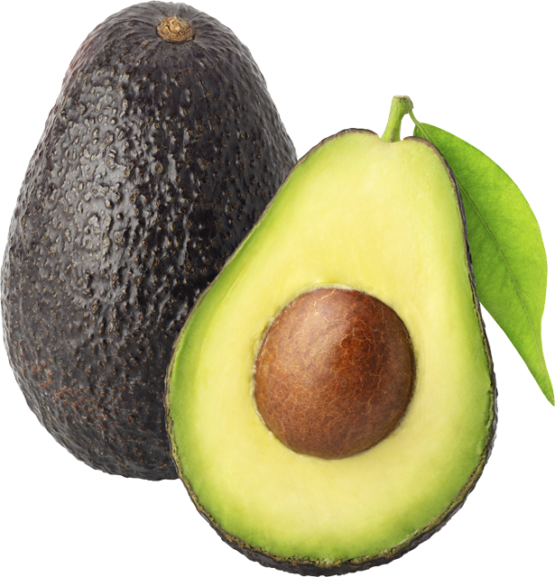 Bio Avocados