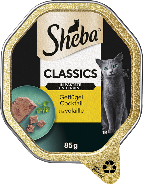 Sheba Katzennahrung