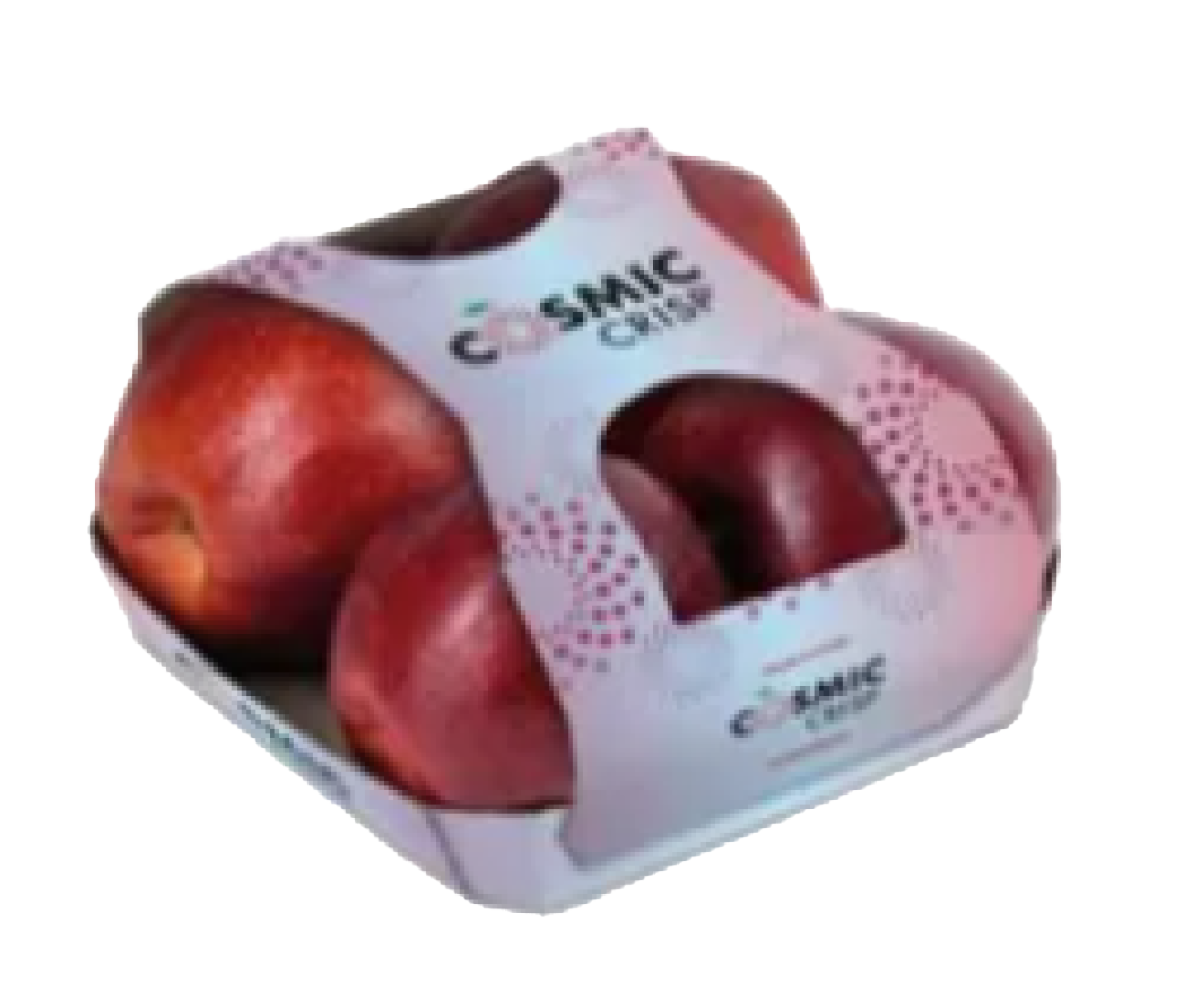 Tafeläpfel Cosmic Crisp aus Italien