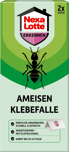 Nexa Lotte Ameisen Klebefalle 