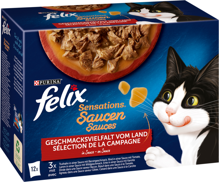 Felix Katzen Nassnahrung