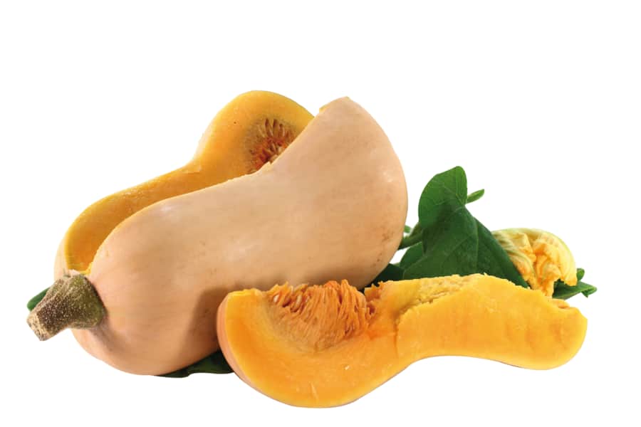 Speisekürbis „Butternut“